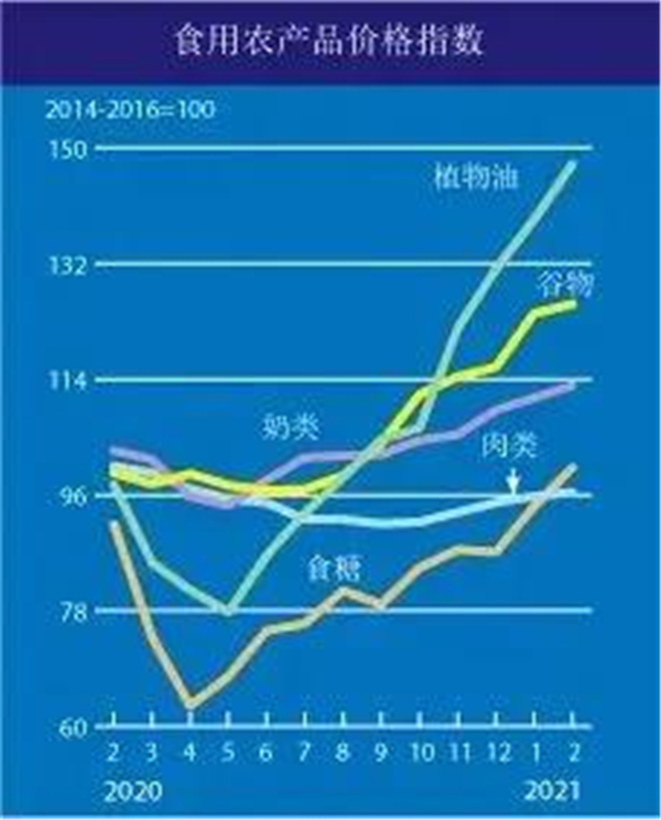 粮价暴涨 全球都在紧张应战