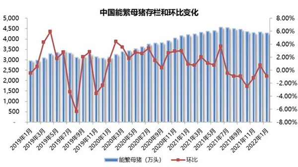 中国养猪网