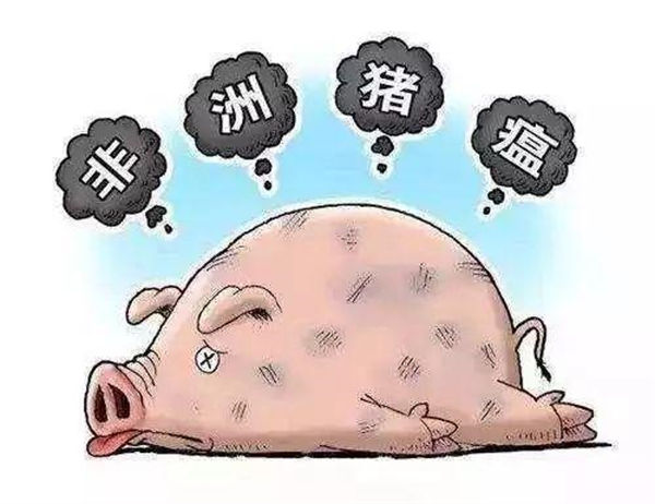 中国养猪网