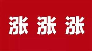 饲料涨涨涨！新希望、安佑、傲农、海大等饲料价格普涨75元/吨！