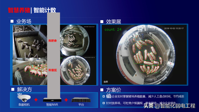 智慧养猪厂解决方案（PPT）