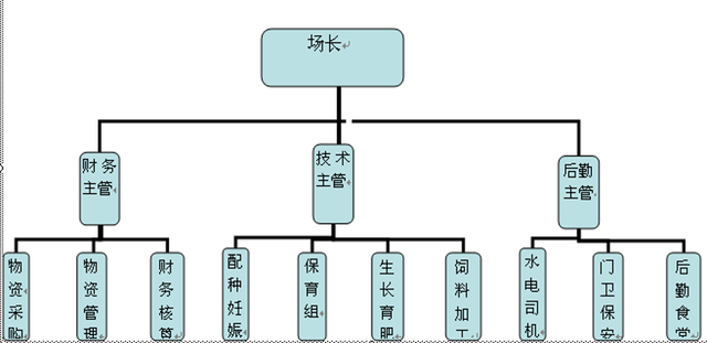 科普丨规模化猪场饲养管理模式，值得农村散养户学习参考！