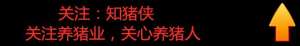 标准养猪场怎么建(新建养猪场需要符合什么条件？地址选择与合理布局是第一步)