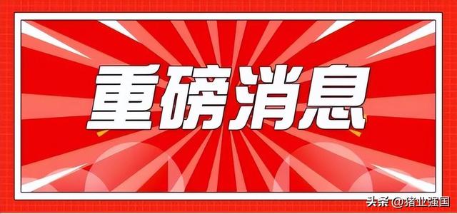 行业盛事！第50届养猪产业大会（广州）将于2023年12月11-13日隆重举行