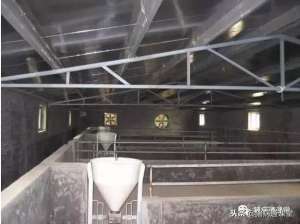 养猪棚建设(全面解读标准化猪舍的建设过程（多图），建议收藏)