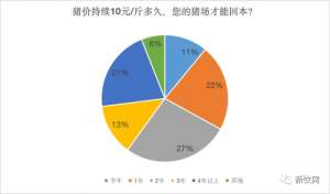 丘北县养猪(猪价已超10元，猪场却还没回本这是为何？)