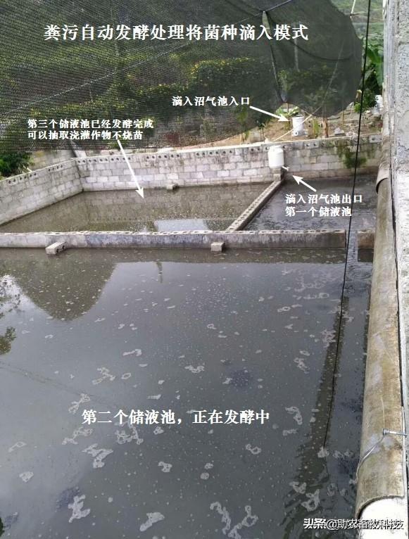 新建猪场最推荐的模式——新型水泡粪+全量还田，降低30%以上投入