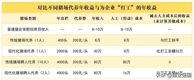 自己干还是为企业“打工”？代养将成为非瘟时代家庭农场养猪的最佳出路？