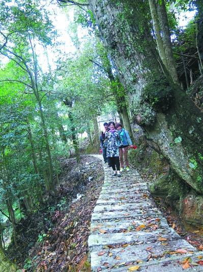 福安市松罗乡金山村：“养猪村”的美丽转身