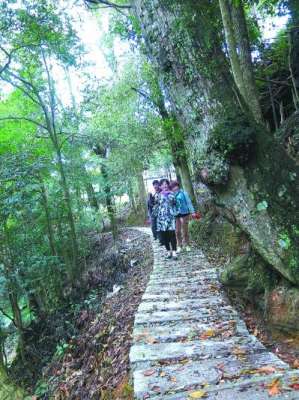 福安哪里有养猪场(福安市松罗乡金山村：“养猪村”的美丽转身)