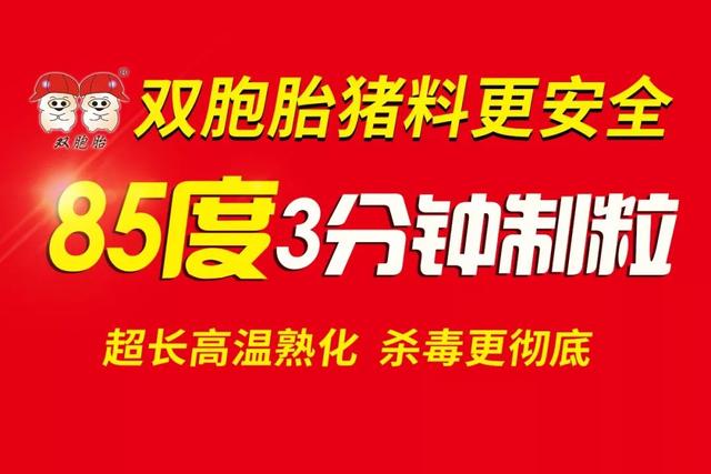 简单养猪，轻松赚钱！双胞胎“公司+农户”期待您的加入