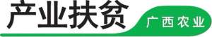 广西养猪合作社(广西巴马：从养猪失败欠债到经营猪场年获利20万元，这位“猪倌”带领乡亲脱贫致富)