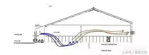 「管理」4种猪舍通风设计，南北干湿都能解决（附图）