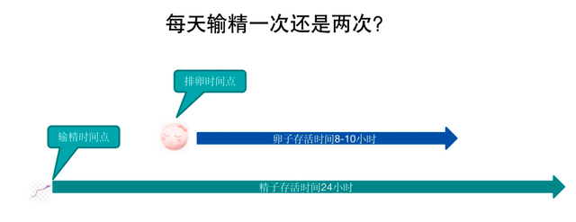 猪场高效生产有三大诀窍！勃林格殷格翰刘建：精良的管理工具+科学的工作流程+良好的管理技能