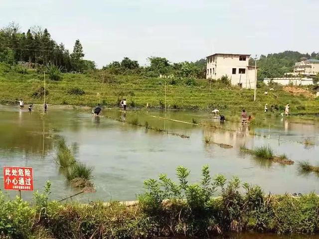 凯里大风洞镇石板村主任宋光彩：携手村民脱贫致富奔小康