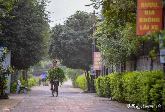 越南河静省乡村：偷渡者建造豪宅别墅，里面生活着一群“活寡妇”