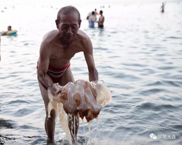 夏家河里的它比河豚还要毒