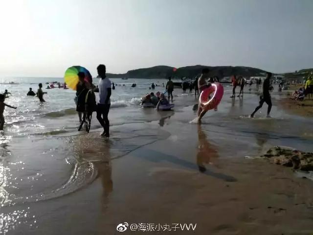 夏家河里的它比河豚还要毒