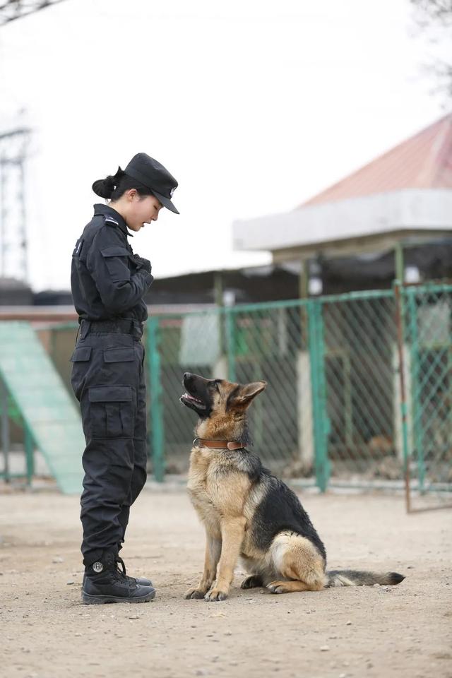 美女生物生“变身”成为优秀警犬训导员