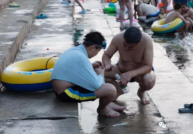 夏家河里的它比河豚还要毒