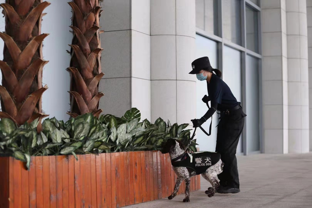 美女生物生“变身”成为优秀警犬训导员