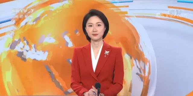 央视50位女主播春节出镜服装（70套）合集