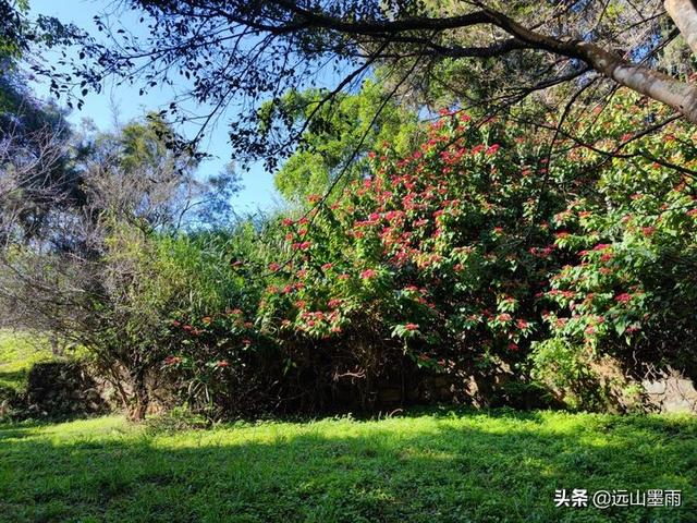 中老铁路开通运营了，实地体验从昆明坐火车去普洱，感觉太好了